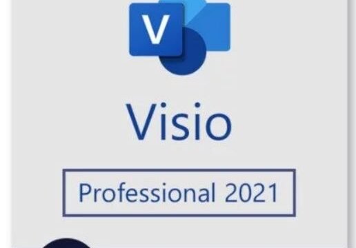 Microsoft Visio 2021 Professional