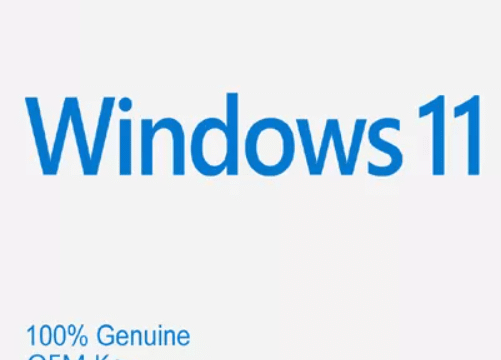 Windows 11 Professional OEM