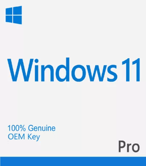 Windows 11 Professional OEM